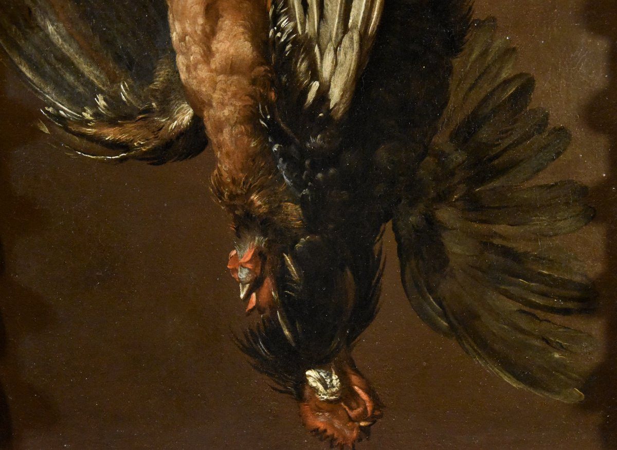 Natura morta con due gallinacei, Giovanni Agostino Cassana (Venezia post 1658 - Genova 1720)-photo-3
