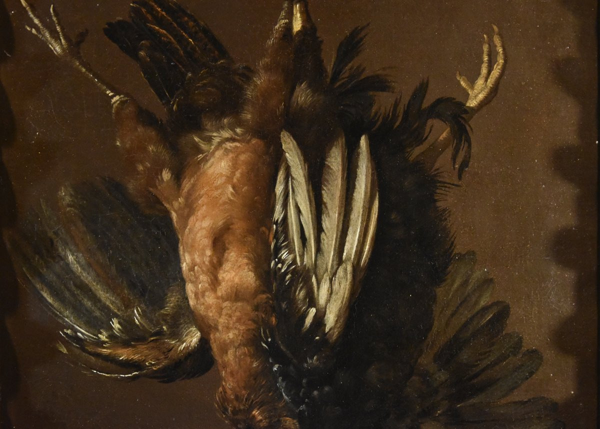 Natura morta con due gallinacei, Giovanni Agostino Cassana (Venezia post 1658 - Genova 1720)-photo-5