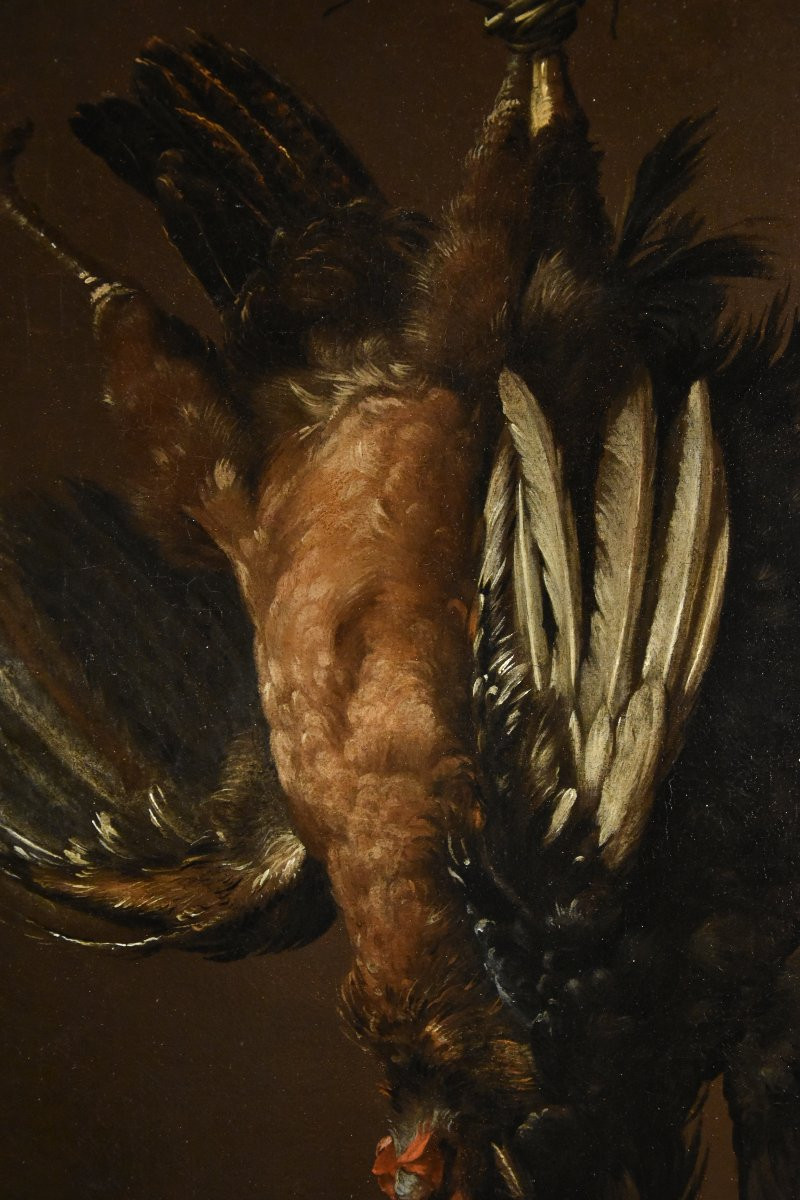 Natura morta con due gallinacei, Giovanni Agostino Cassana (Venezia post 1658 - Genova 1720)-photo-6