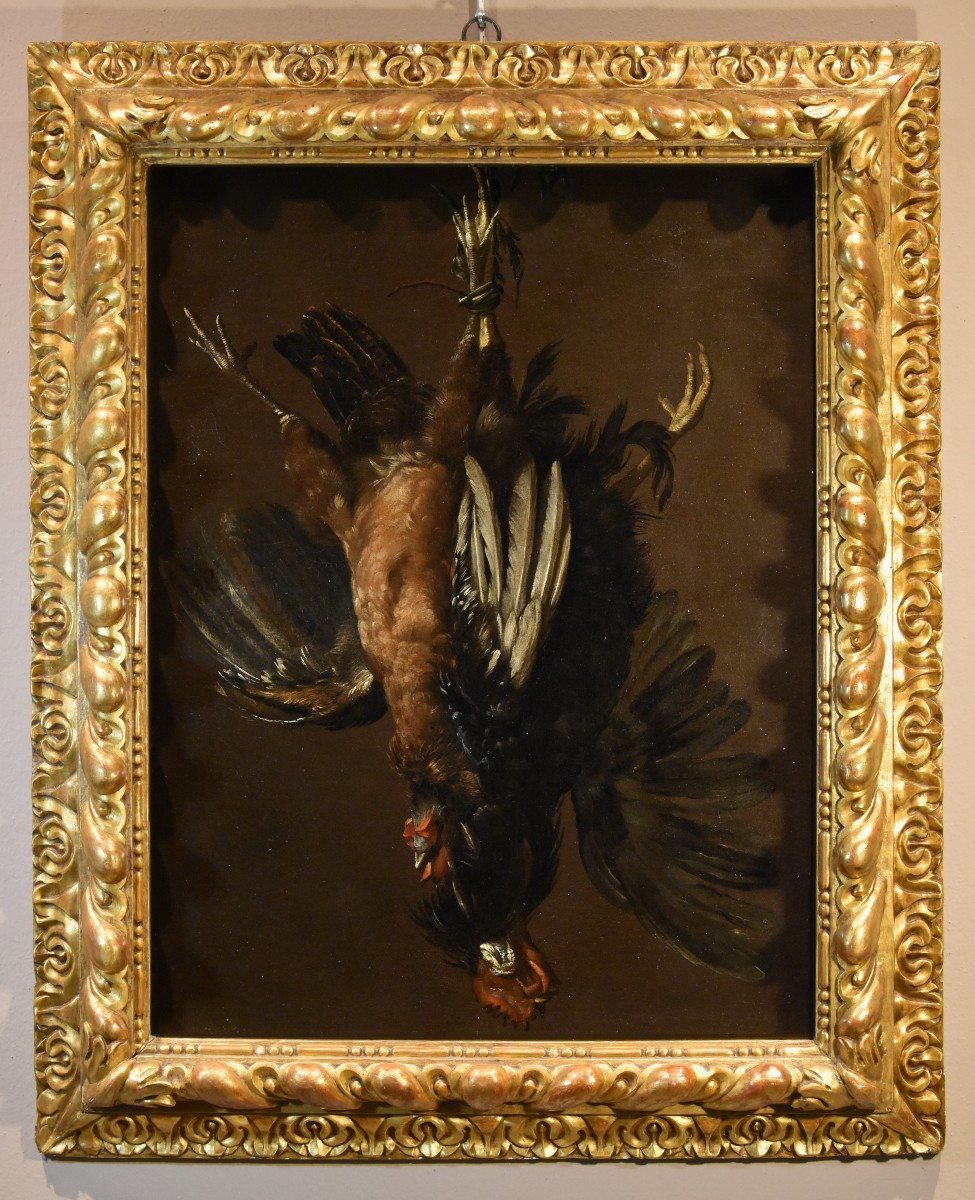 Natura morta con due gallinacei, Giovanni Agostino Cassana (Venezia post 1658 - Genova 1720)