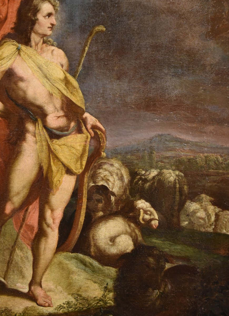 Apollo sorveglia le greggi di re Admeto, Cornelis van Haarlem (Haarlem 1562–1638) bottega-photo-2