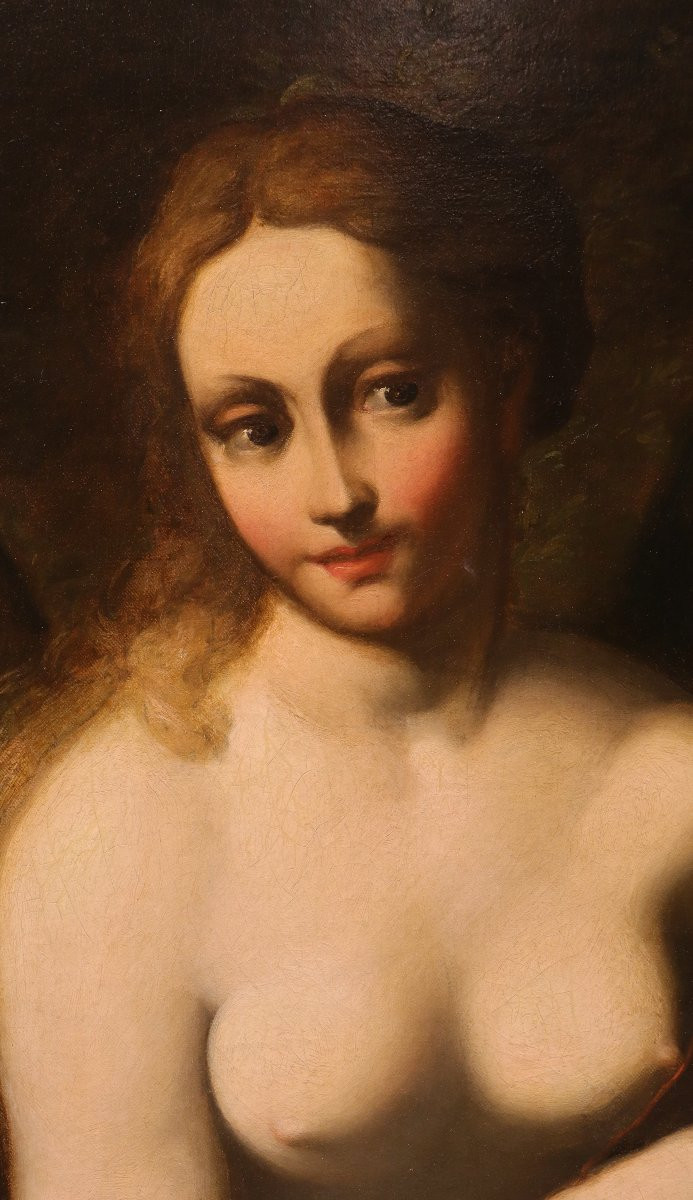 L’educazione di Amore, da Antonio Allegri, detto il Correggio (Correggio, 1489 – 1534)-photo-3