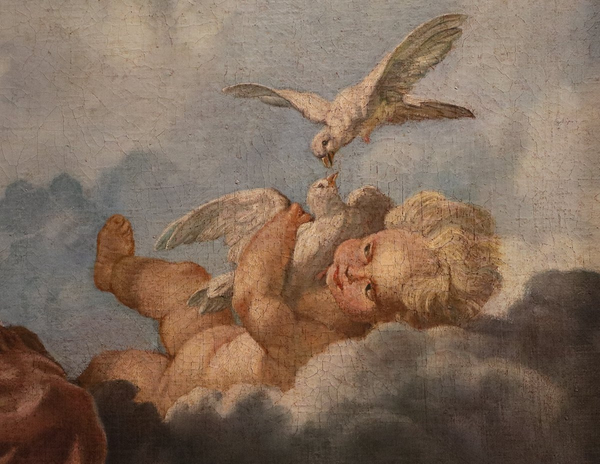 Venere e Amore, Noël Hallé (Parigi, 1711 - 1781)-photo-5