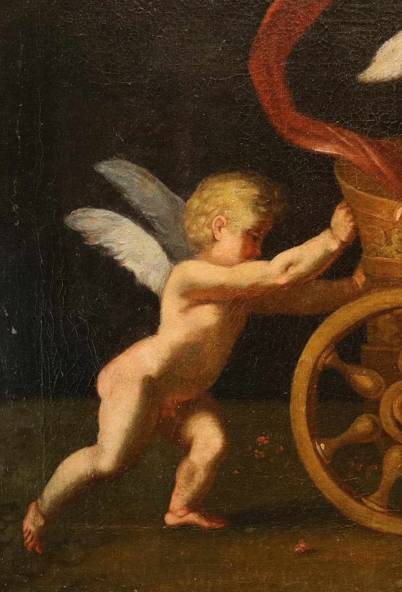 Gioco di amorini con il carro di Venere, Francesco Albani (Bologna 1578 - 1660) bottega-photo-3