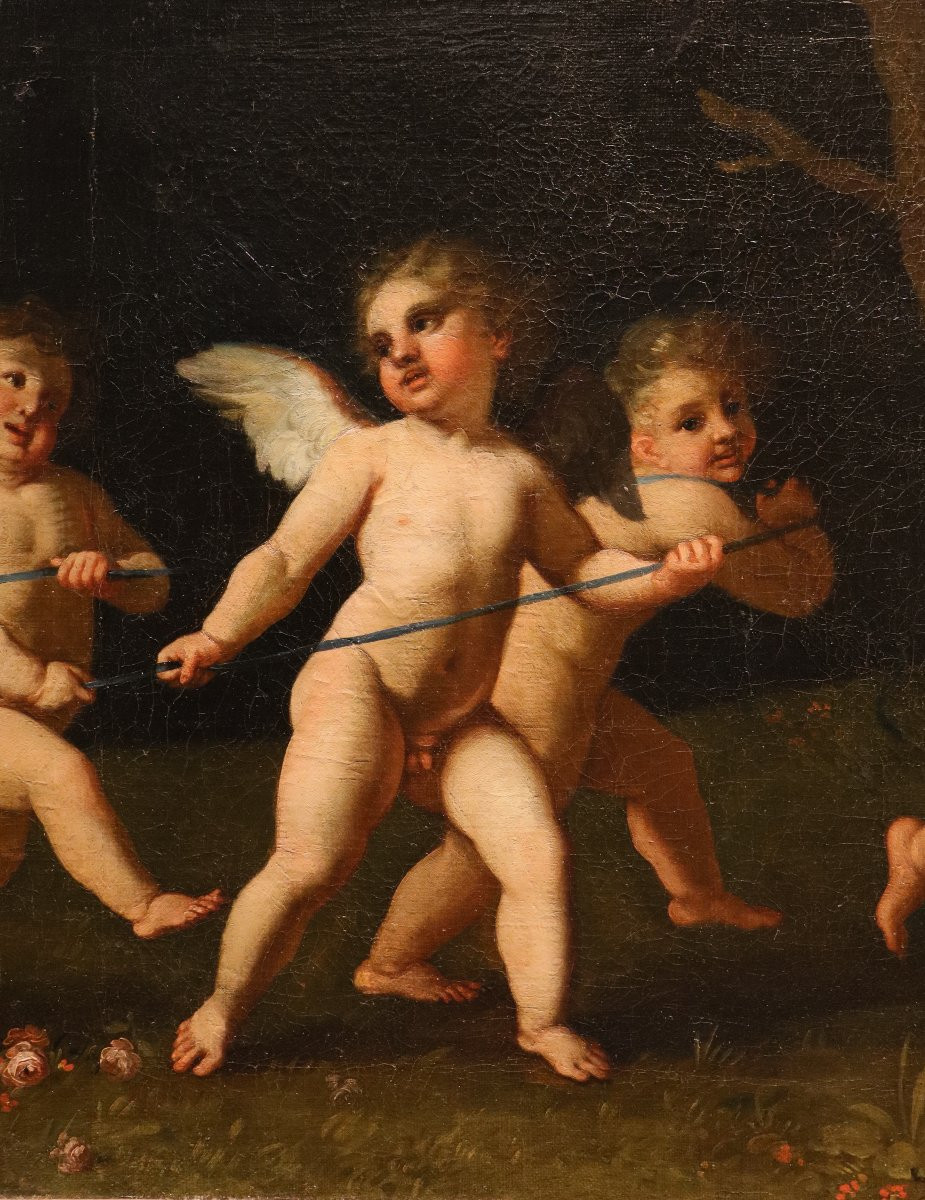 Gioco di amorini con il carro di Venere, Francesco Albani (Bologna 1578 - 1660) bottega-photo-5
