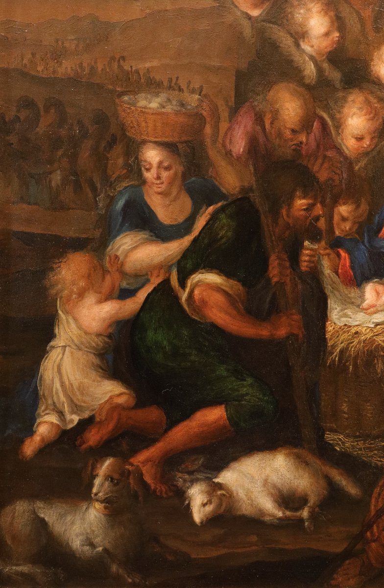 L'Adorazione dei pastori, Pieter van Lint (Anversa, 1609 – 1690) bottega-photo-7