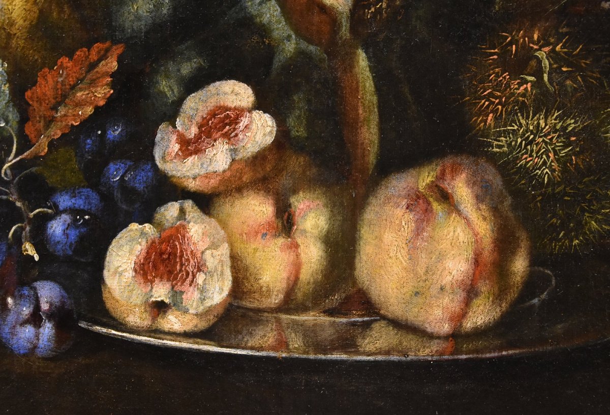 Natura morta di frutta con picchio verde, Franz Werner Von Tamm (Amburgo 1658-Vienna 1754)-photo-6