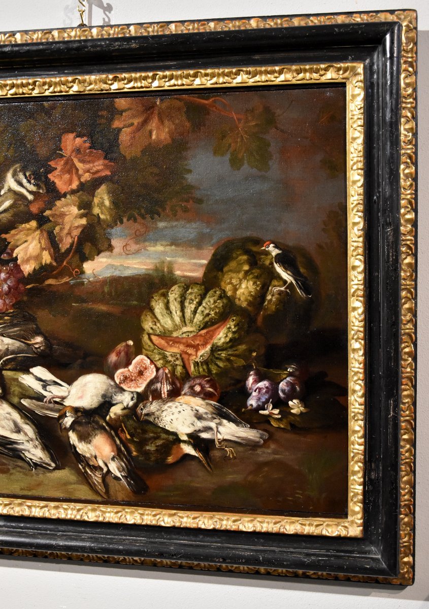 Natura morta in un paesaggi, Giovanni Paolo Castelli (Roma, 1659 – 1730)-photo-7
