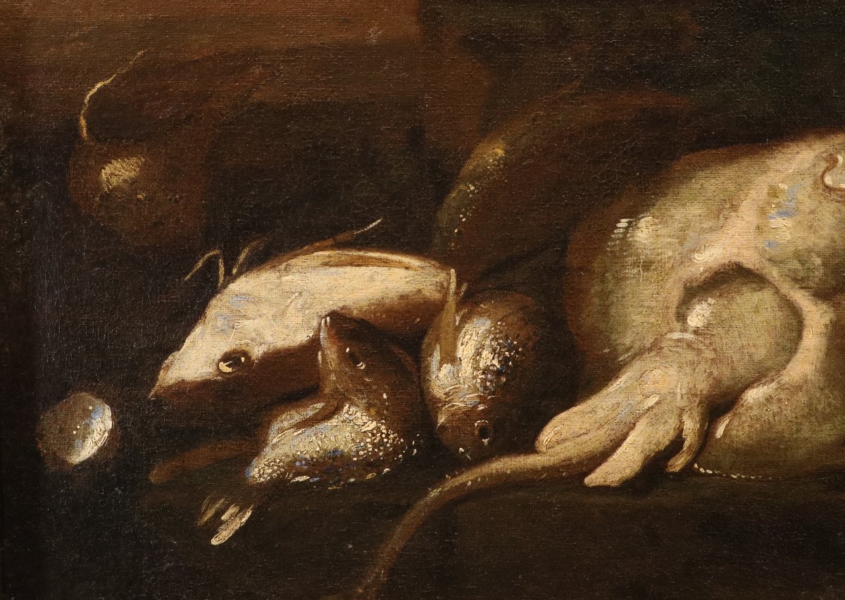 Elena Recco (Napoli, 1654 - 1700) Attribuito, Coppia di nature morte con pesci-photo-2
