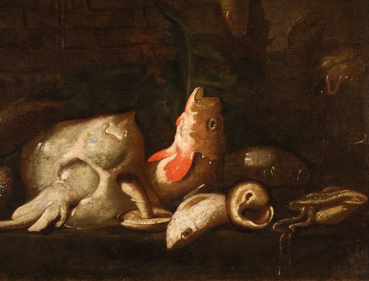 Elena Recco (Napoli, 1654 - 1700) Attribuito, Coppia di nature morte con pesci-photo-6