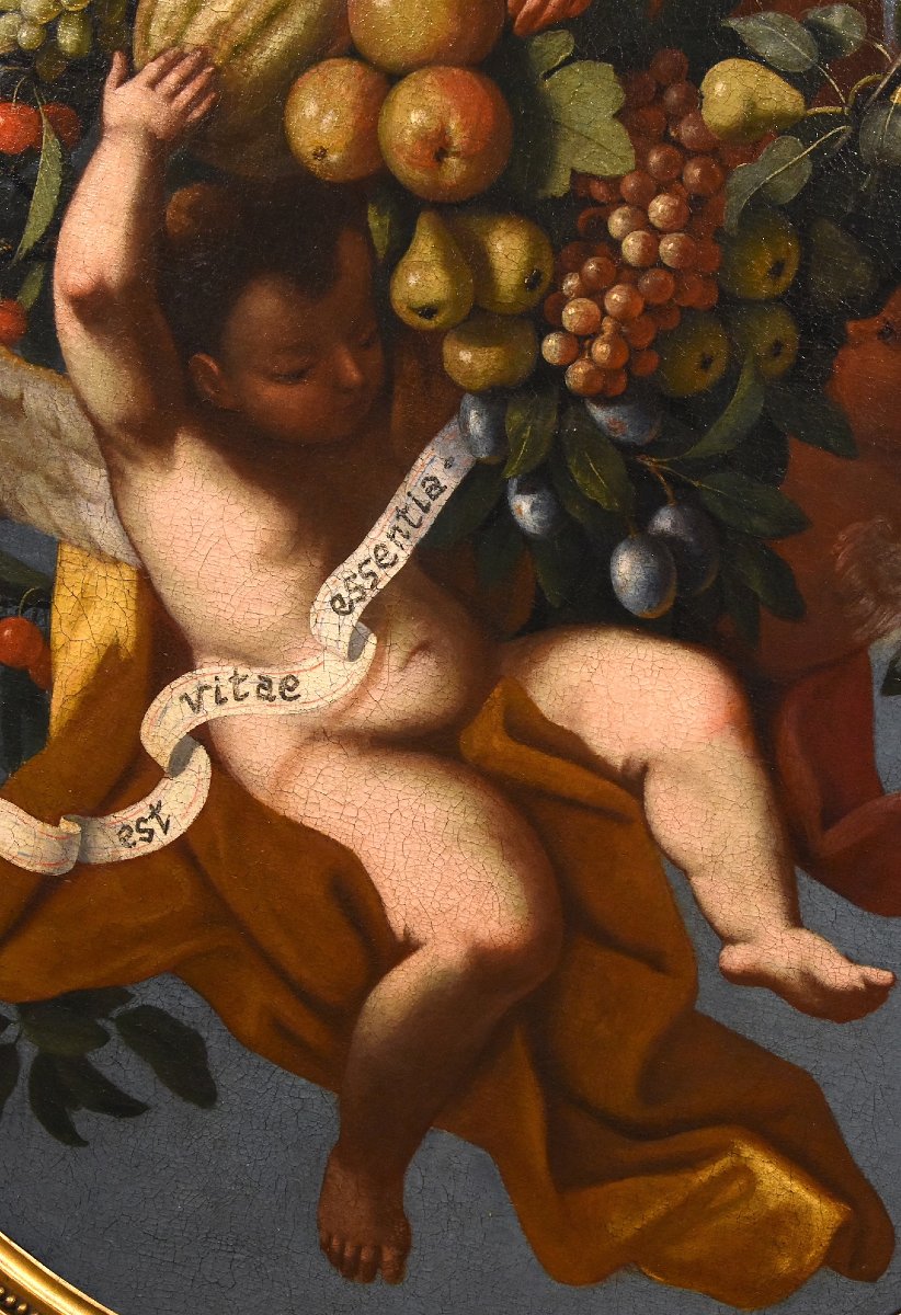 Composizione di frutta sorretta da tre angeli, Luigi Garzi (Pistoia 1638 – Roma1721)-photo-2