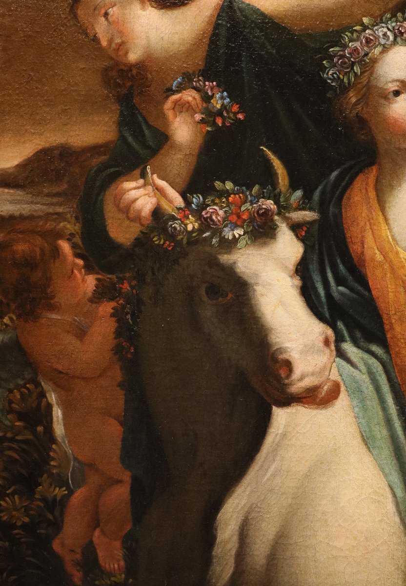 Il ratto di Europa, Simon Vouet (Parigi, 1590 – 1649) bottega/seguace di-photo-5
