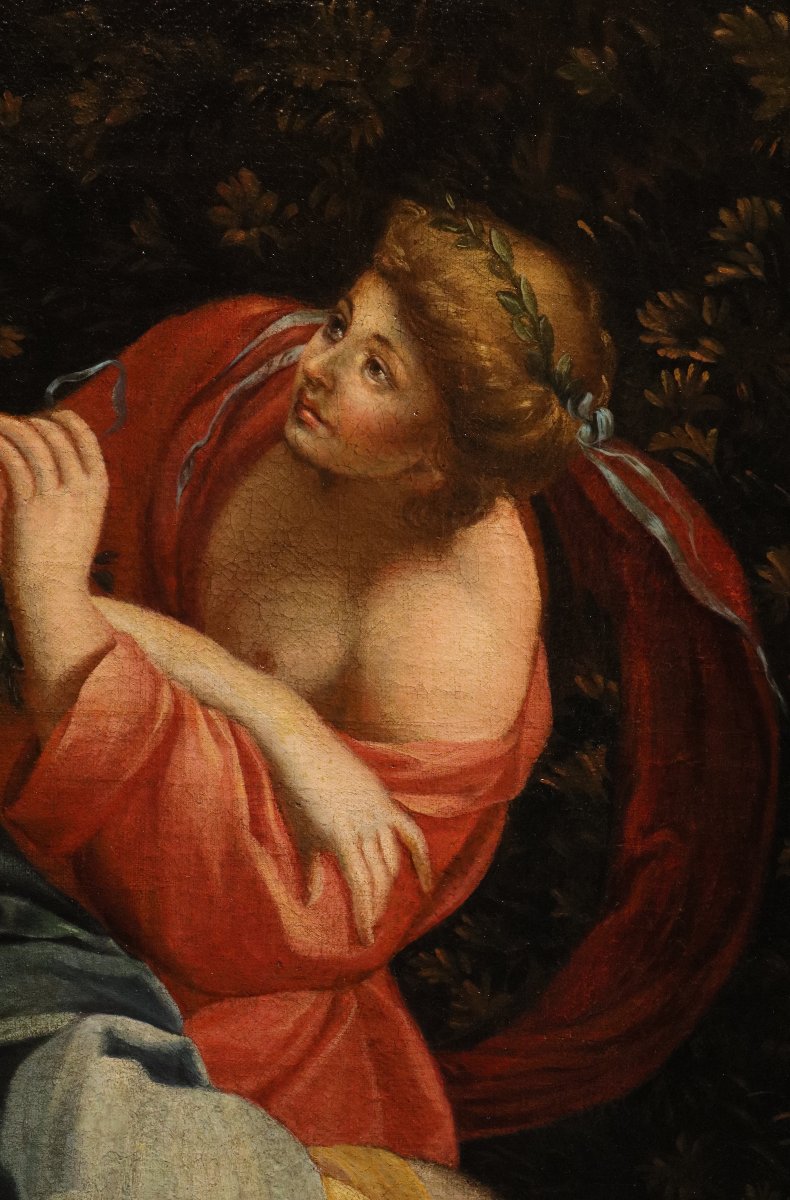 Il ratto di Europa, Simon Vouet (Parigi, 1590 – 1649) bottega/seguace di-photo-7