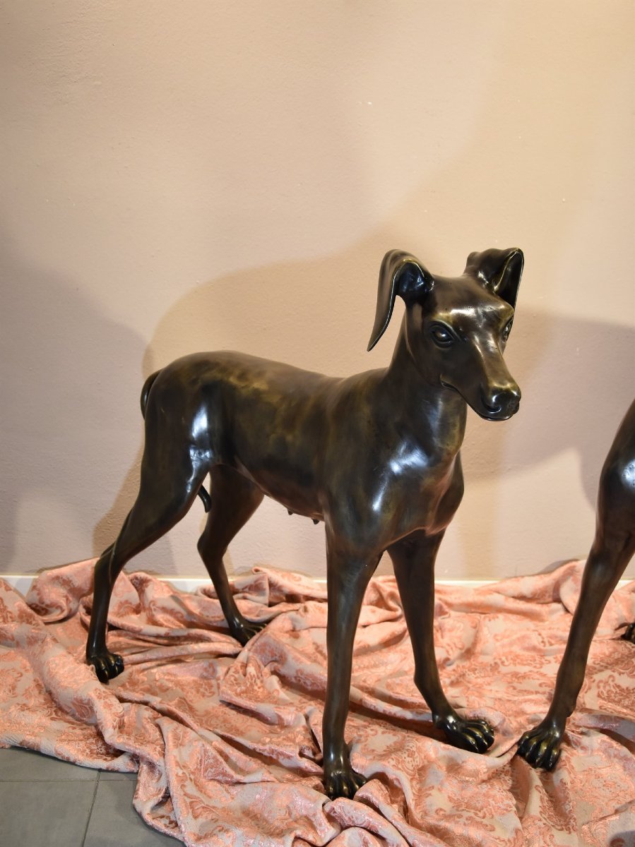 Coppia di levrieri Art Déco in bronzo,  Francia XX secolo-photo-1