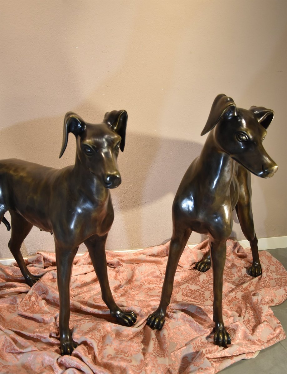 Coppia di levrieri Art Déco in bronzo,  Francia XX secolo-photo-2