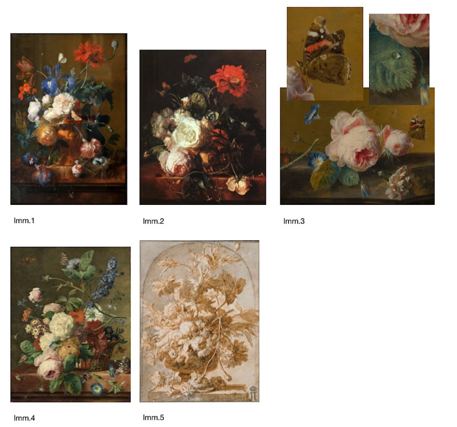 Vaso di fiori con farfalle in una nicchia, Jan Van Huysum (Amsterdam 1682 - 1749)-photo-7