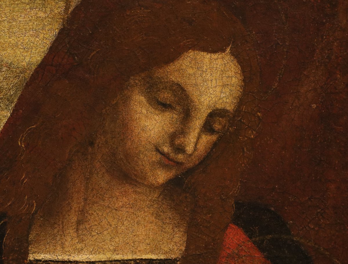 Pittore leonardesco (primi del XVI secolo), Madonna con Bambino-photo-3