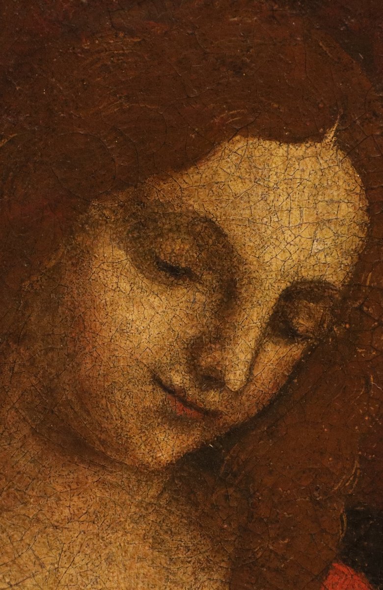 Pittore leonardesco (primi del XVI secolo), Madonna con Bambino-photo-4