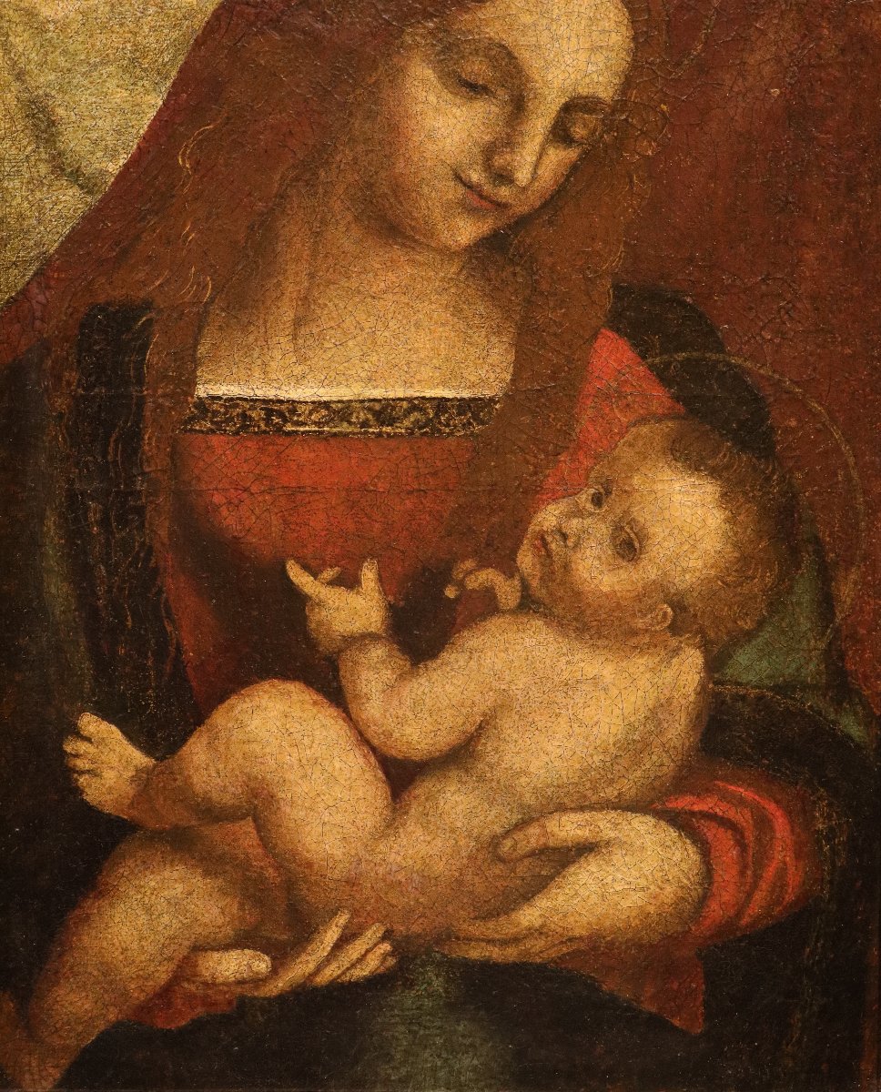 Pittore leonardesco (primi del XVI secolo), Madonna con Bambino-photo-6