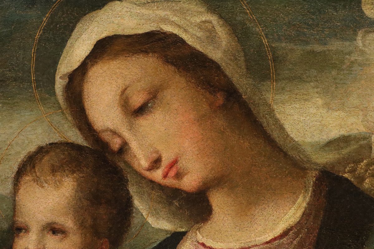 Madonna con Bambino e San Giovannino, Domenico Beccafumi (Monteaperti, 1486 – Siena, 1551)-photo-3