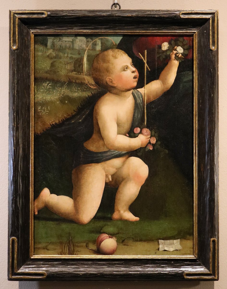 San Giovanni Battista, Marco Palmezzano (Forlì, 1459 circa – Forlì, 1539) e bottega -photo-2