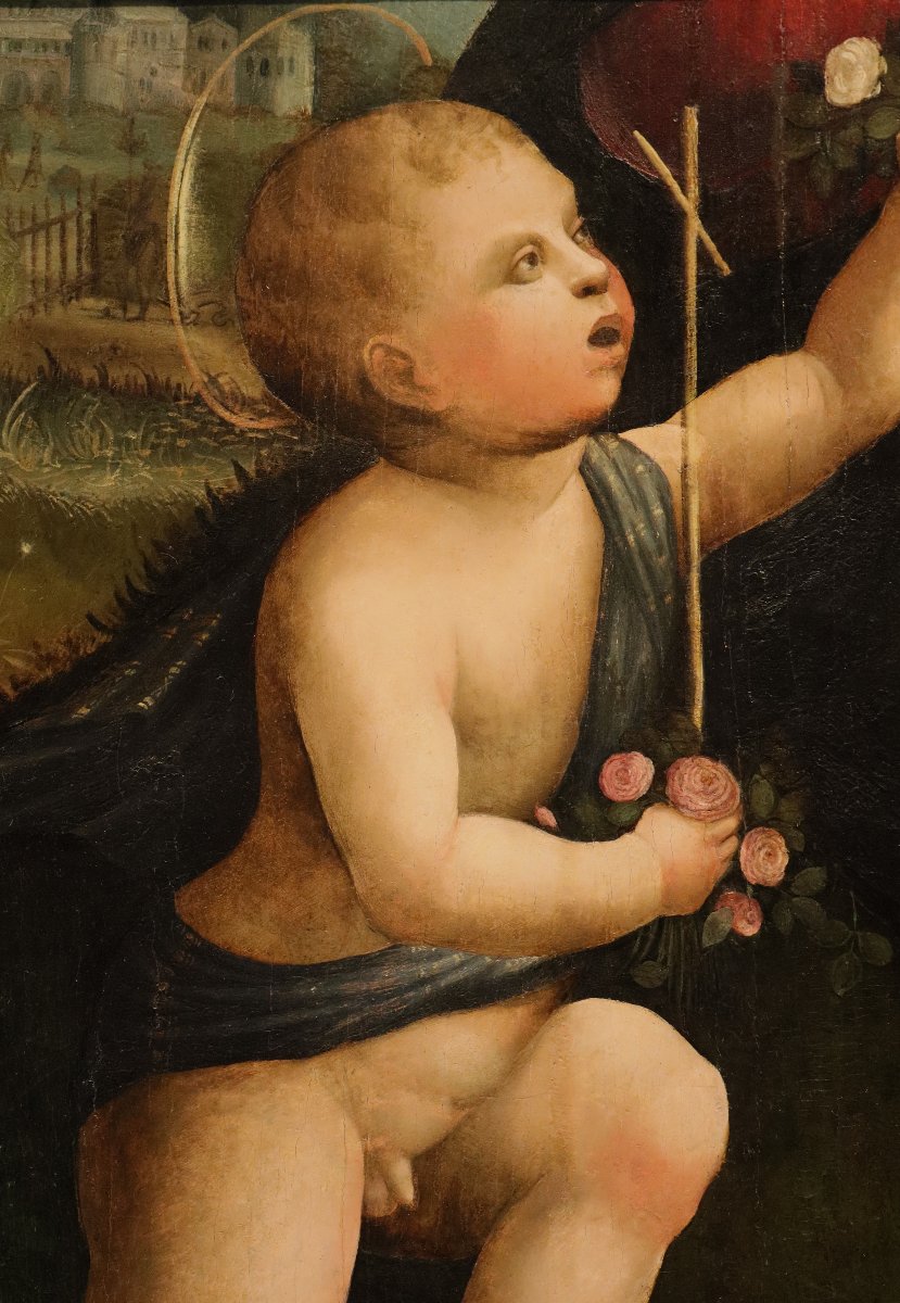 San Giovanni Battista, Marco Palmezzano (Forlì, 1459 circa – Forlì, 1539) e bottega -photo-4