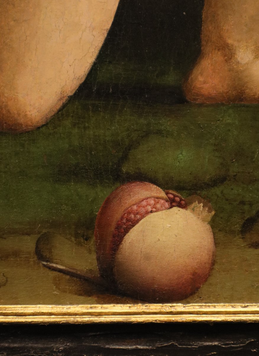 San Giovanni Battista, Marco Palmezzano (Forlì, 1459 circa – Forlì, 1539) e bottega -photo-5