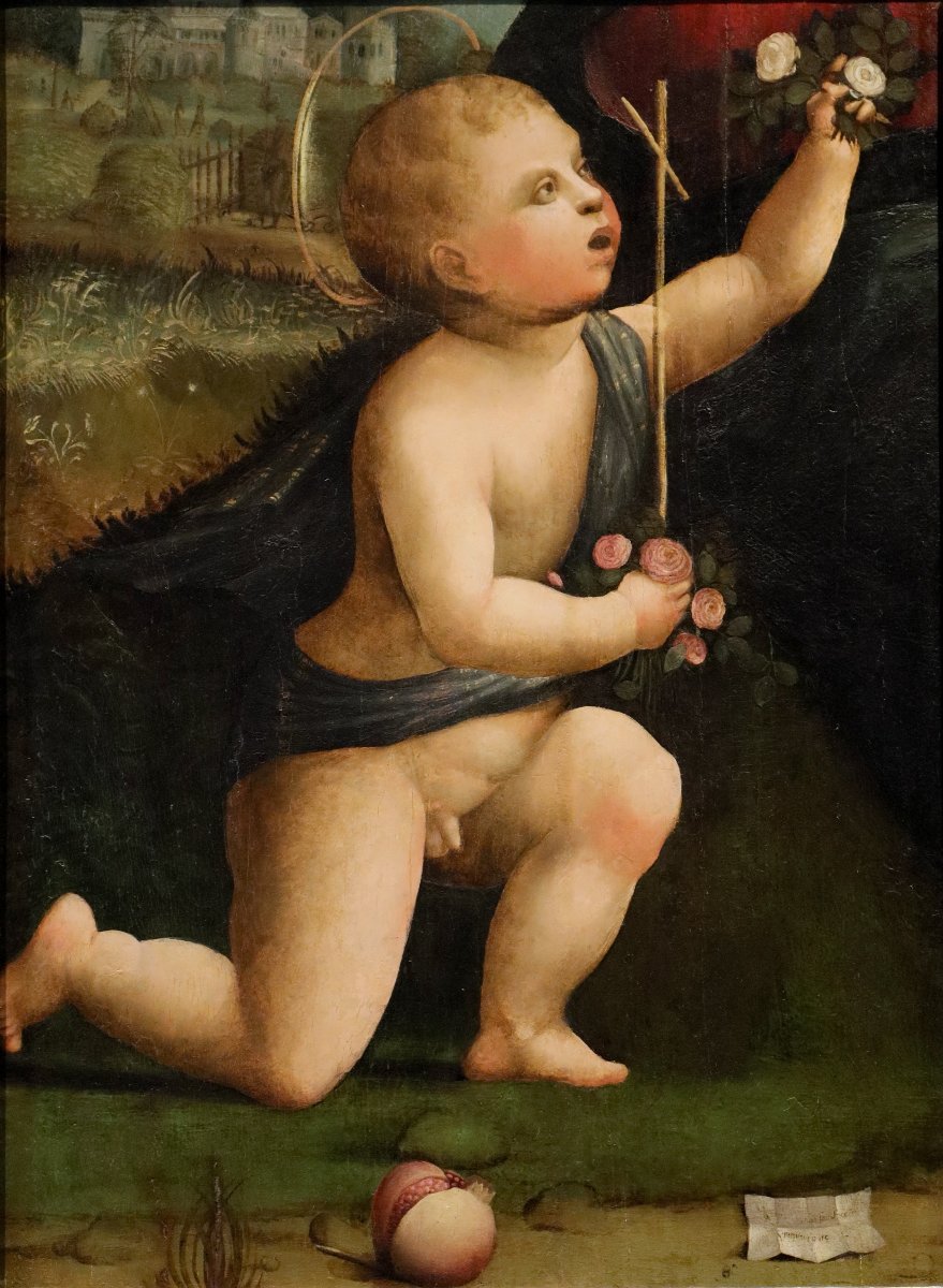 San Giovanni Battista, Marco Palmezzano (Forlì, 1459 circa – Forlì, 1539) e bottega 