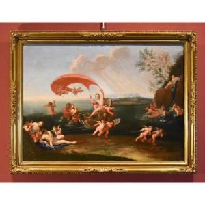 Il trionfo della ninfa Galatea, Francesco Albani (Bologna 1578 - 1660) cerchia di