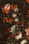 1561759-alb-6842e4eeabbf3.jpg