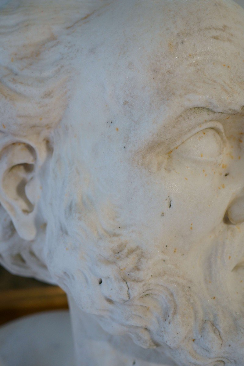 Diogene di Sinope Grande Busto in Marmo del Filosofo Greco Scuola lombarda del XVIII-photo-2