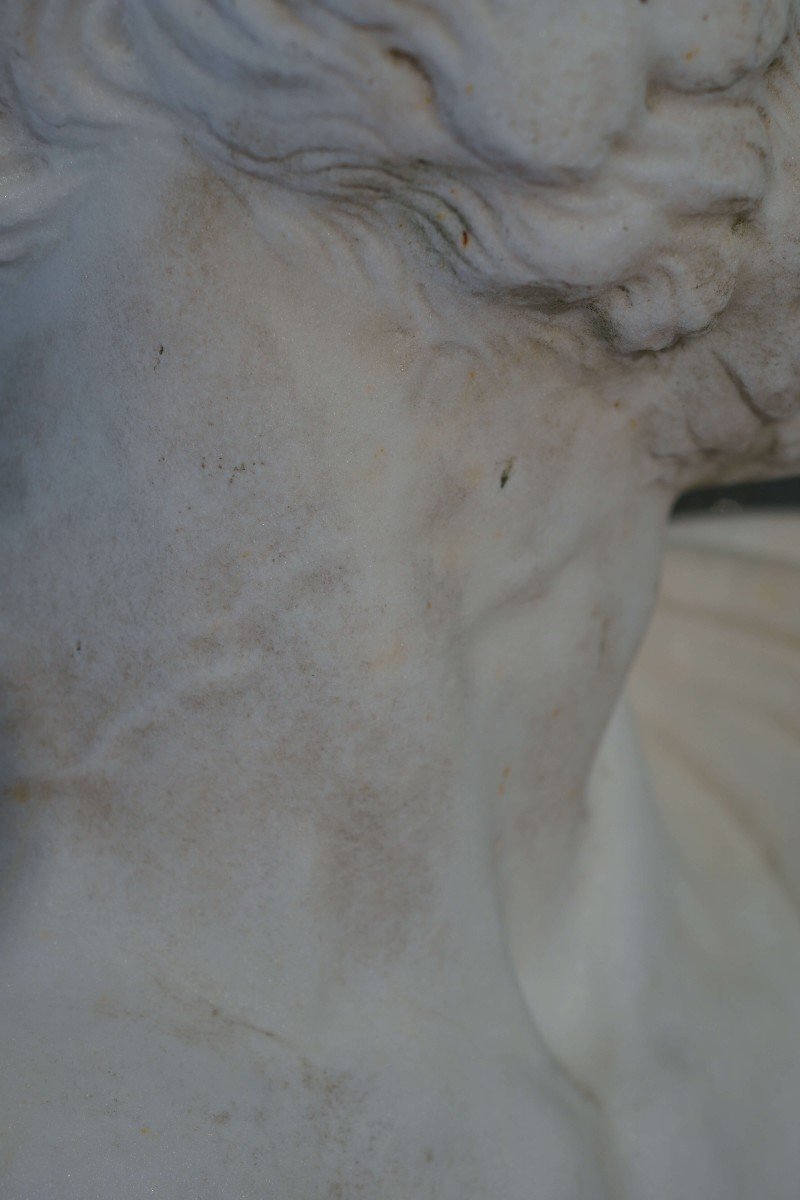 Diogene di Sinope Grande Busto in Marmo del Filosofo Greco Scuola lombarda del XVIII-photo-6