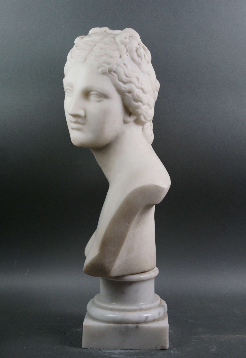Busto Neoclassico in Marmo Venere dei Medici Italia XIX secolo-photo-2