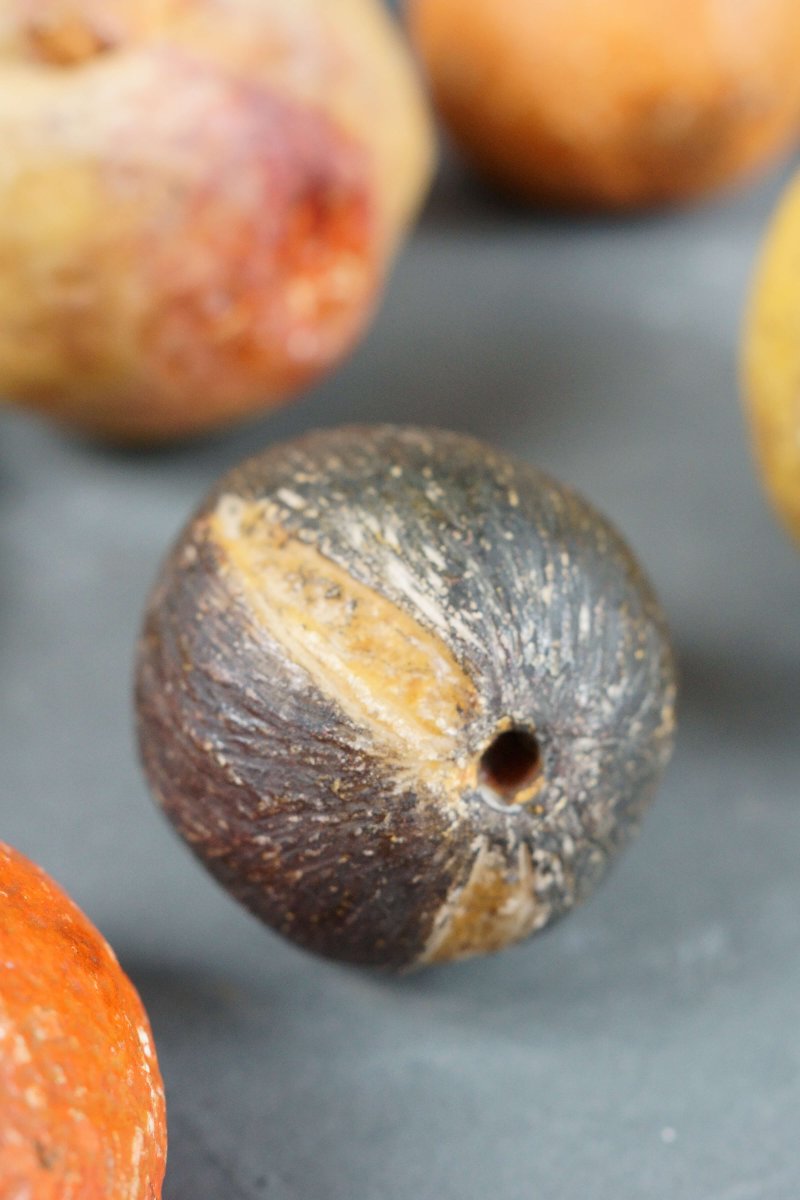 Composizione di 13 Frutti in marmo Policromo Natura Morta XIX secolo-photo-2