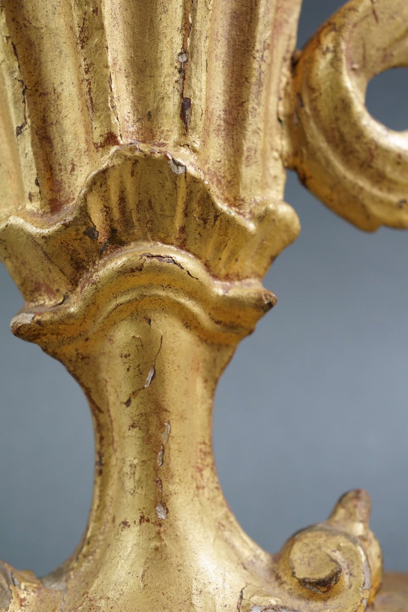 Coppia di Vasi da Altare o Porta palme in Legno Dorato Italia XVIII secolo-photo-3