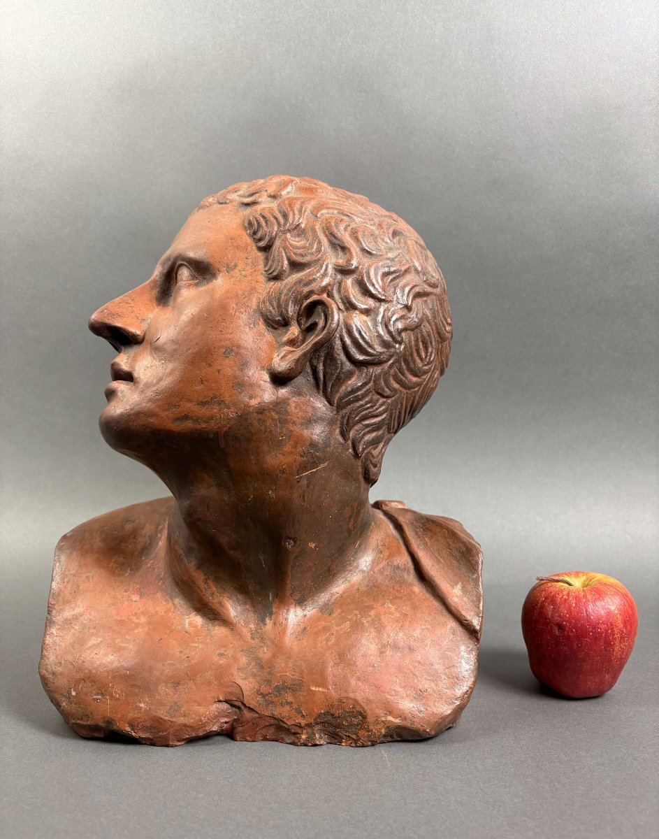 Busto Virile in Terracotta Neoclassico Italia XVIII secolo-photo-2