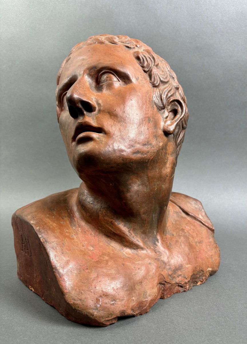 Busto Virile in Terracotta Neoclassico Italia XVIII secolo-photo-3