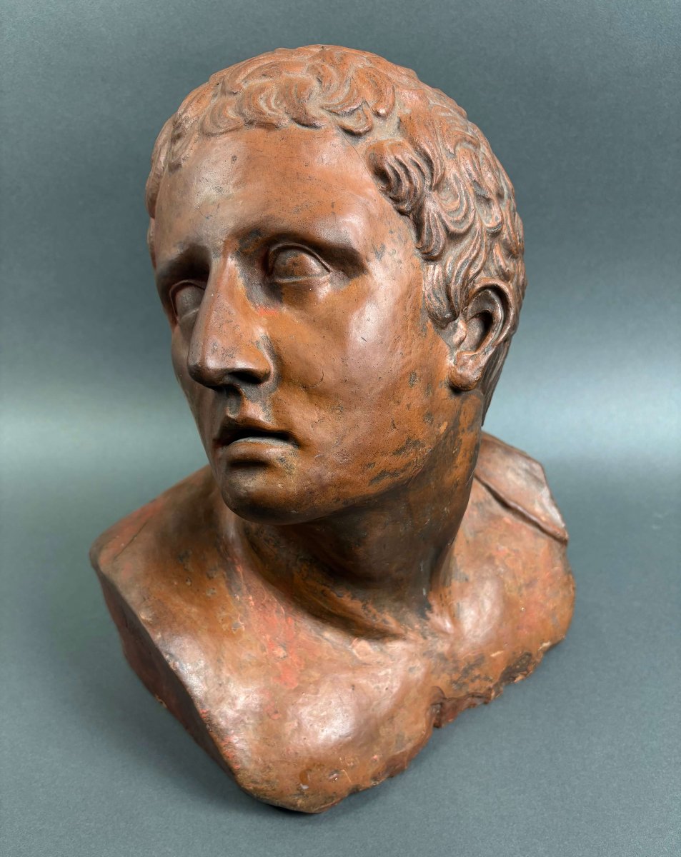 Busto Virile in Terracotta Neoclassico Italia XVIII secolo-photo-4