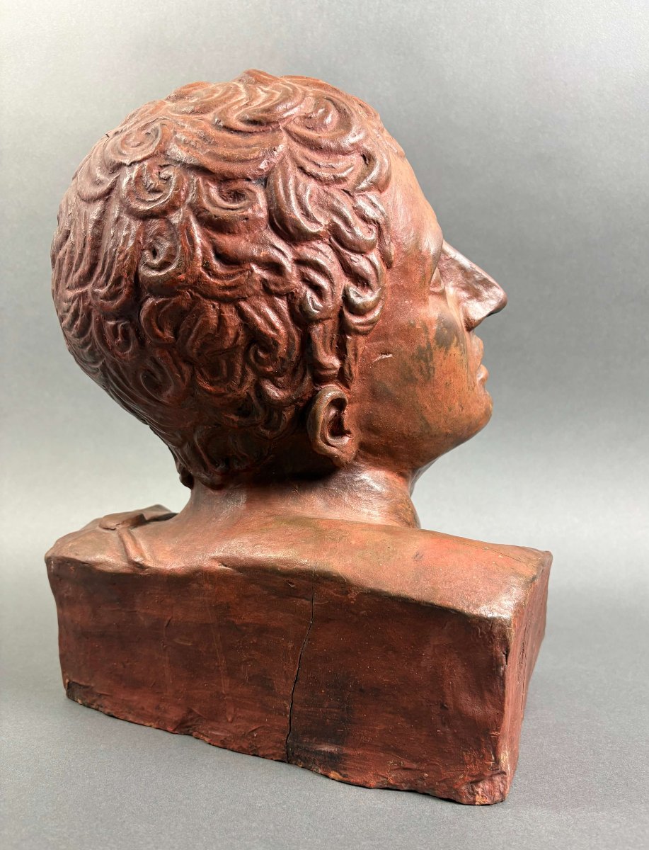 Busto Virile in Terracotta Neoclassico Italia XVIII secolo-photo-2
