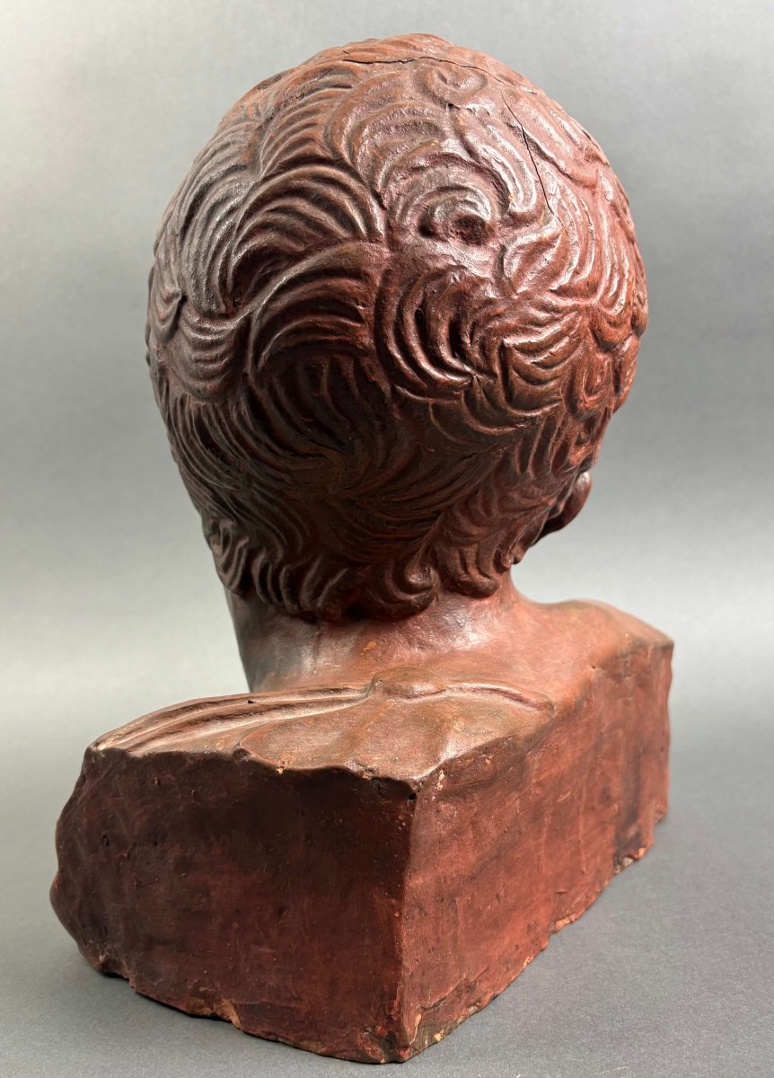 Busto Virile in Terracotta Neoclassico Italia XVIII secolo-photo-3