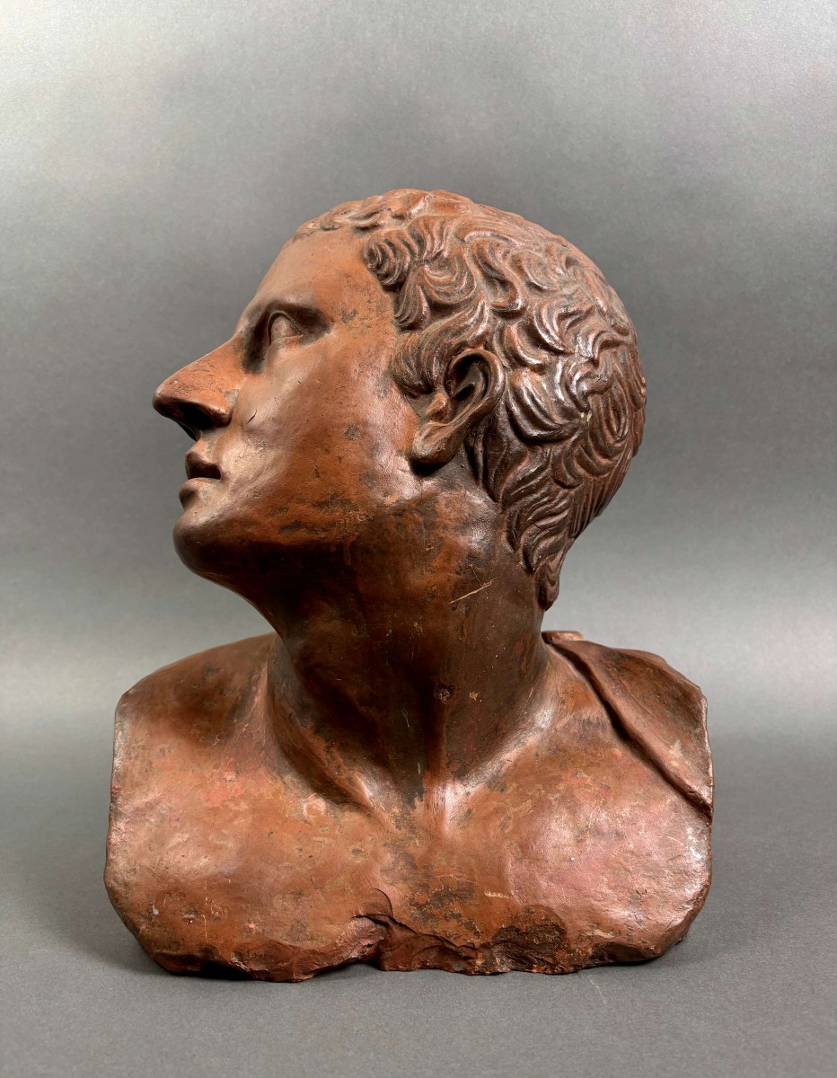Busto Virile in Terracotta Neoclassico Italia XVIII secolo-photo-5