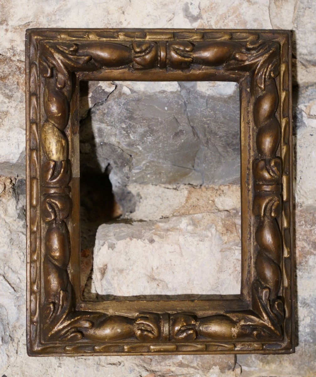 Cornice da Collezione Legno Scolpito e Dorato Bologna XVII secolo