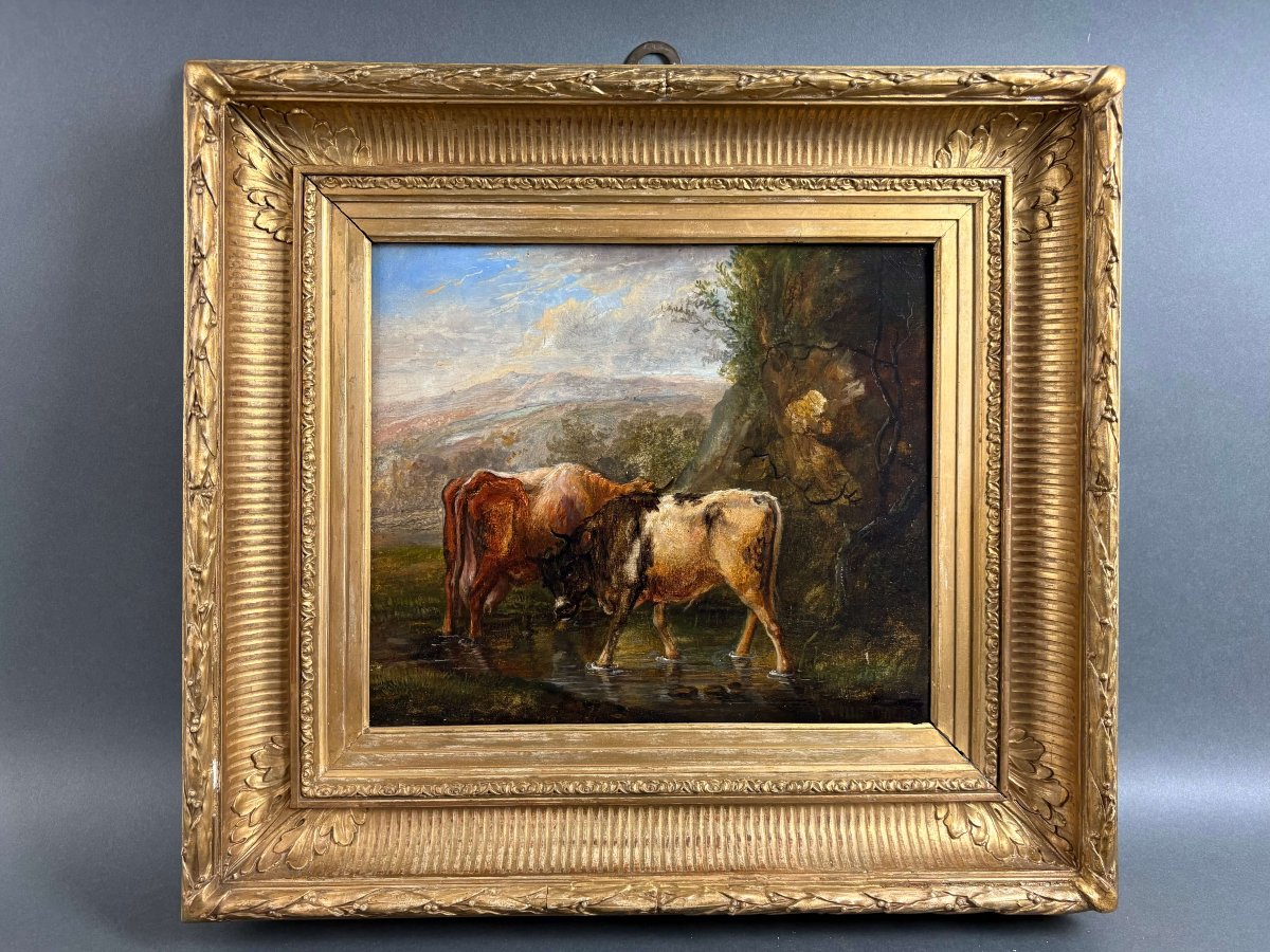 Scuola Fiamminga del XVIII secolo, Il giovane toro, olio su tavola-photo-2