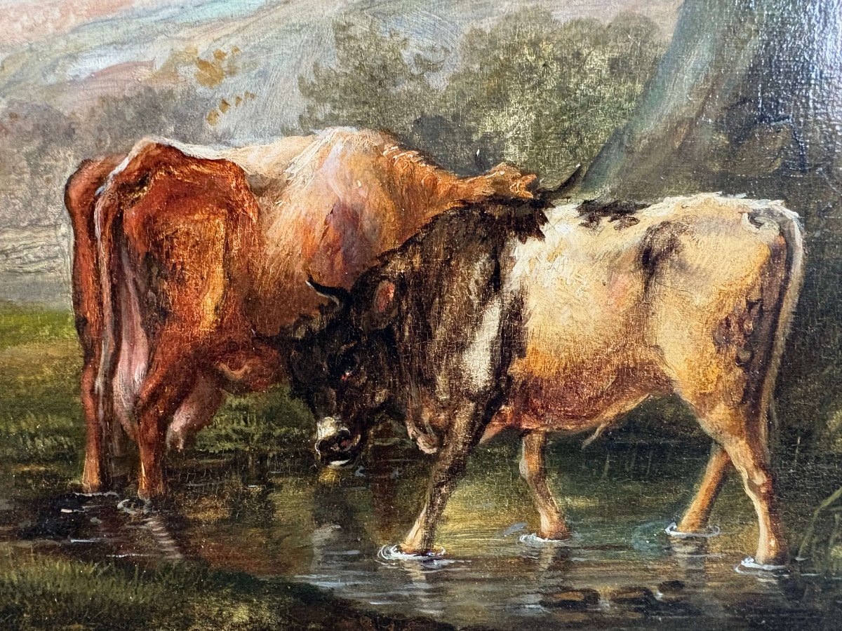 Scuola Fiamminga del XVIII secolo, Il giovane toro, olio su tavola-photo-3