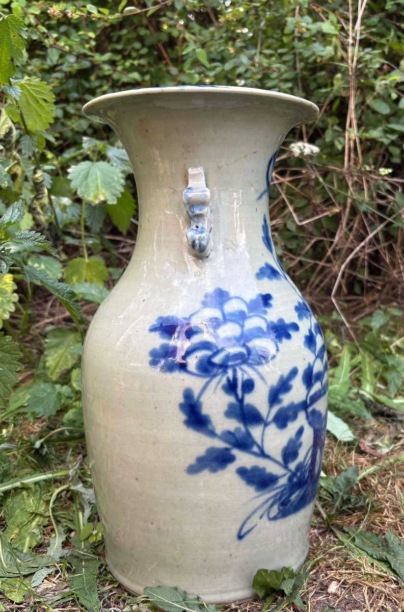 Vaso Cinese in Porcellana Celadon Dinastia Qing XIX secolo-photo-4