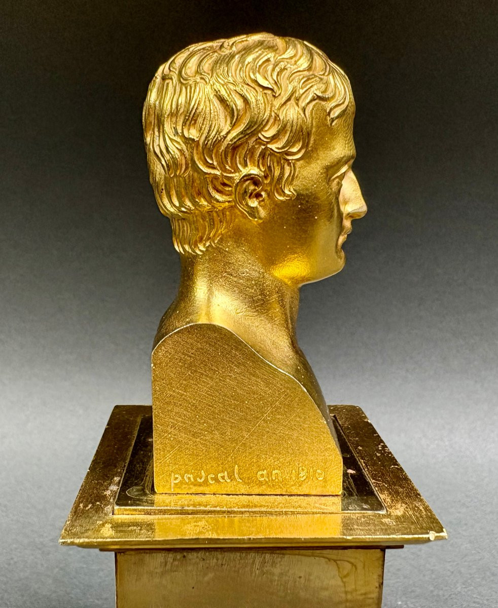Busto di Napoleone I in Bronzo Dorato a Ormolu epoca Impero-photo-6