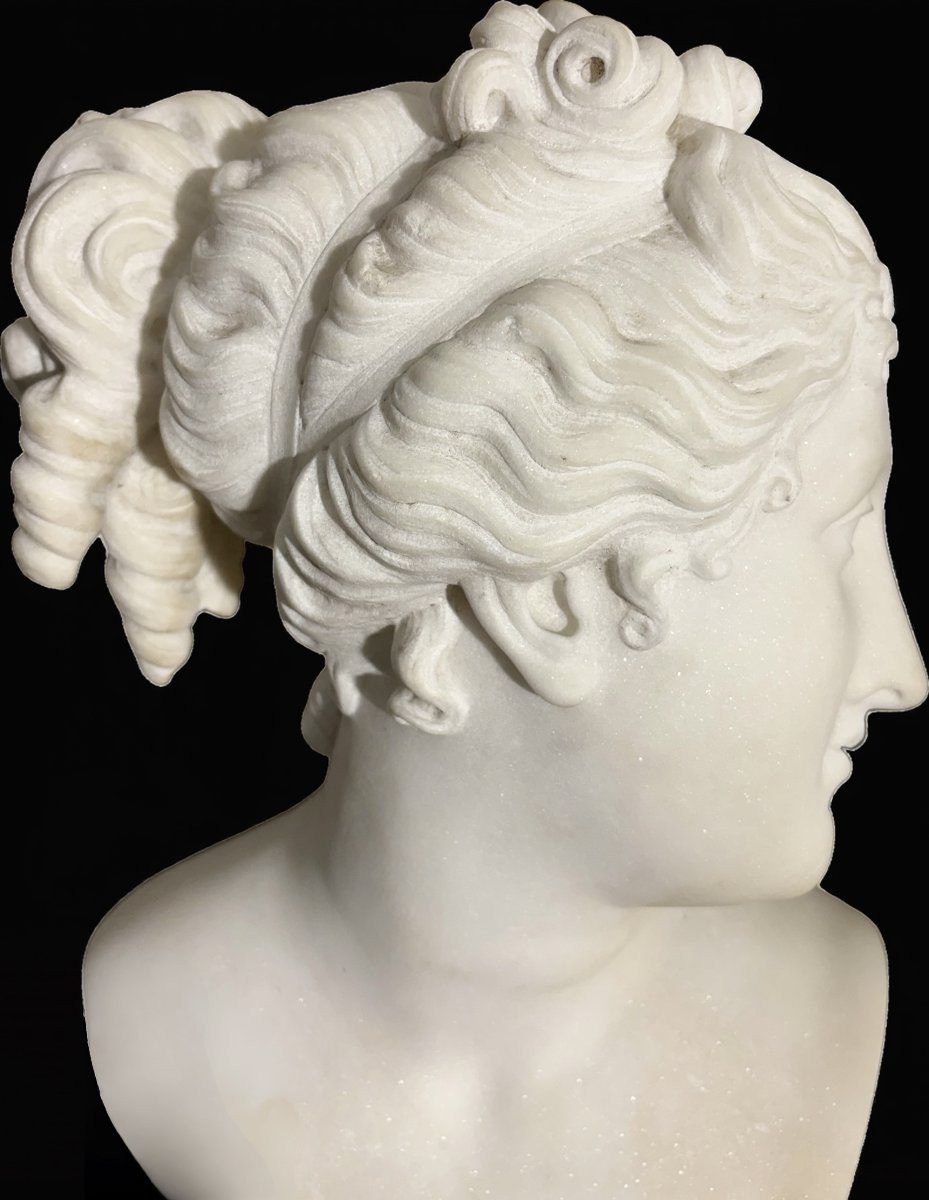 Antonio Frilli (1830-1902) Busto in Marmo della Venere Italica XIX secolo-photo-3