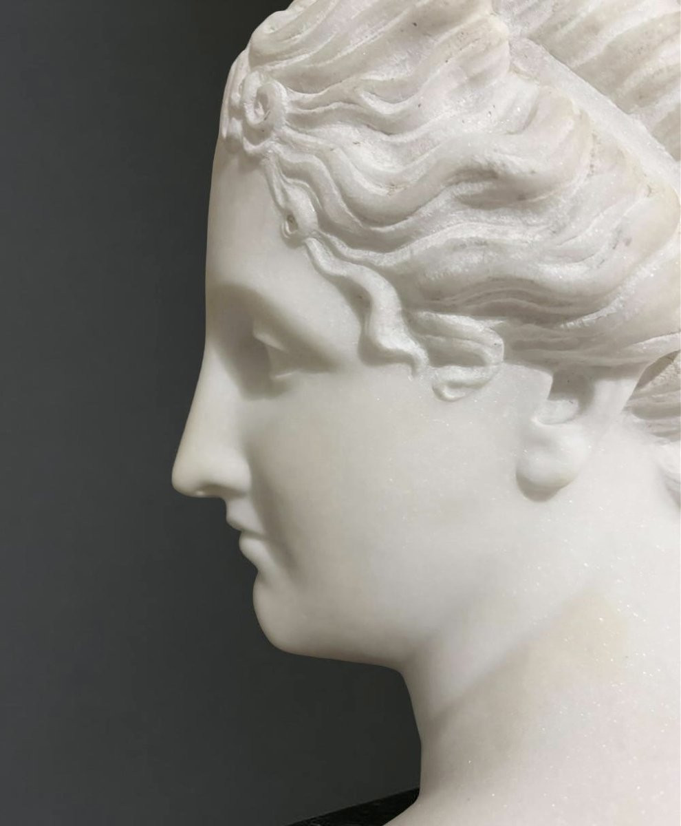 Antonio Frilli (1830-1902) Busto in Marmo della Venere Italica XIX secolo-photo-3