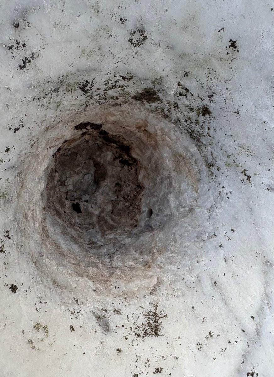 Coppia di Vasi Medicei in Marmo di Carrara, XVII secolo-photo-7