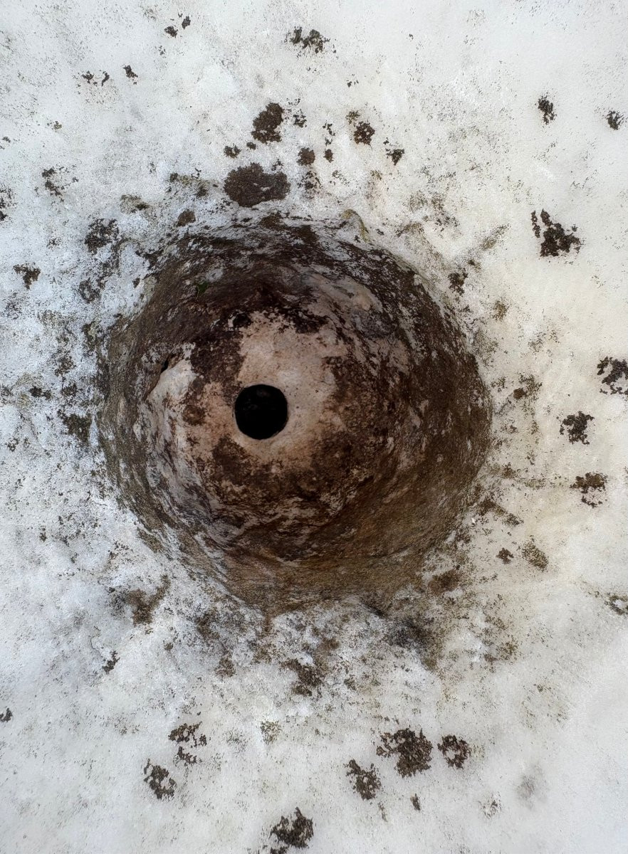 Coppia di Vasi Medicei in Marmo di Carrara, XVII secolo-photo-8